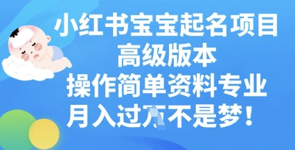 小红书宝宝起名项目高级版本,操作简单,资料专业,月入过W-青年云网创—高质量项目商城