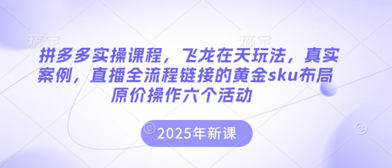 拼多多实操课程,飞龙在天玩法,真实案例,直播全流程链接的黄金sku布局原价操作六个活动-青年云网创—高质量项目商城