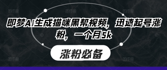 即梦AI生成猫咪黑帮视频，迅速起号涨粉，一个月5k-青年云网创—高质量项目商城